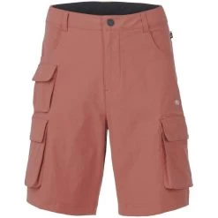 PICTURE ROBUST SHORTS RUSTIC BROWN 22
