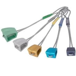 DMM WALLNUT SET 7-11 ASSORTED 23