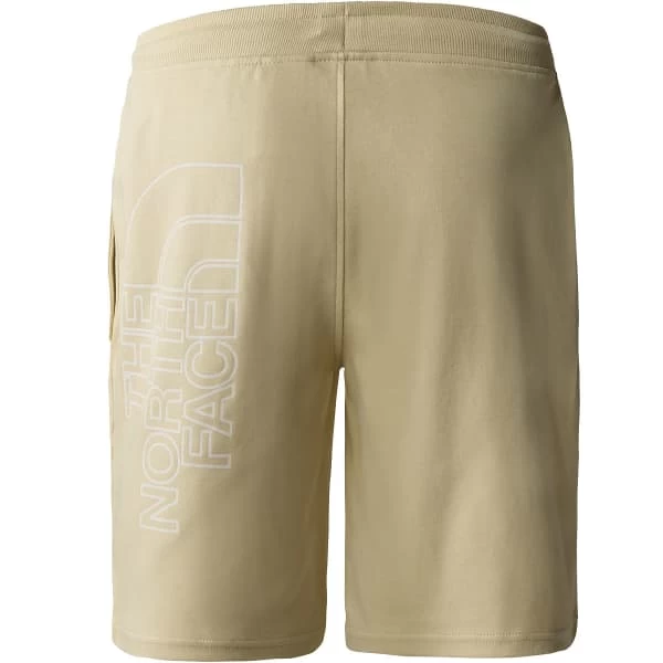 THE NORTH FACE M GRAPHIC SHORT LIGHT GRAVEL 23 4 THE NORTH FACE M GRAPHIC SHORT LIGHT GRAVEL 23 – Image 2