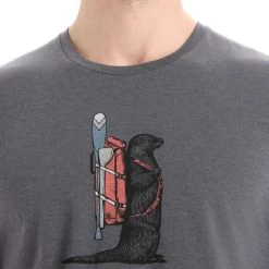 ICEBREAKER MERINO M CENTRAL CLASSIC SS TEE OTTER PADDLE MONSOON 23 11 ICEBREAKER MERINO M CENTRAL CLASSIC SS TEE OTTER PADDLE MONSOON 23 -Magasin de matériel d'alpinisme 9 124976 m central classic ss tee otter paddle monsoon ib0a56oe003 05