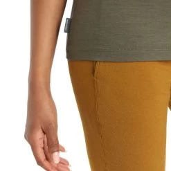 ICEBREAKER W TECH LITE II SS TEE SKI STRIPES LODEN 23 11 ICEBREAKER W TECH LITE II SS TEE SKI STRIPES LODEN 23 -Magasin de matériel d'alpinisme 9 128539 ib0a56it069 05