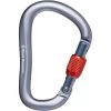 BLACK DIAMOND ROCKLOCK SCREWGATE CARABINER GRAY 23 1 BLACK DIAMOND ROCKLOCK SCREWGATE CARABINER GRAY 23 -Magasin de matériel d'alpinisme 9 70771 rocklock screwgate carabiner gray bd210256 1003 01